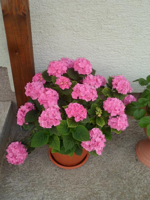 Vacation Home Kuca Za Odmor Krasno Polje Zewnętrze zdjęcie